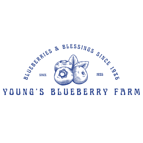 Young's Blueberry U-Pick Farm